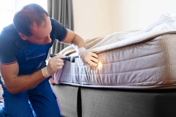 Best Fumigation Services  in Wrightsville, PA